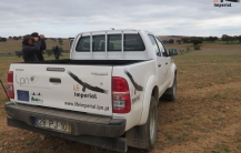 Passatempo “No campo com a Águia-imperial”