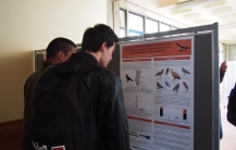 Congresso Ibérico de Ornitologia