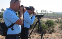 Formação sobre aves de rapina 