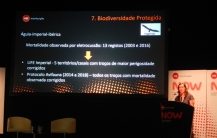 LPN apresenta projetos com linhas elétricas
